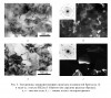 Рис. 5. Электронные микрофотографии структуры оловянистой бронзы (а, б) и меди (в, г) после КВД на 5 оборотов (на середине радиуса образца); a, в – светлые поля, б, г – темные поля и электронограммы