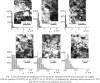 Fig. 3. Size distribution histograms for the structure elements and the microstructure of copper with the purities of 99.99% (a,d), 99.97% (b,e), 99.9% (c,f) deformed by shearing under pressure by 180о, lnZ=40 (a-c) and 10 revolutions, lnZ<38 (d-f)